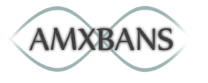 AMXBans 6.0