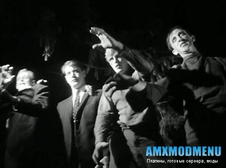 NEW Zm server by OPEx`S