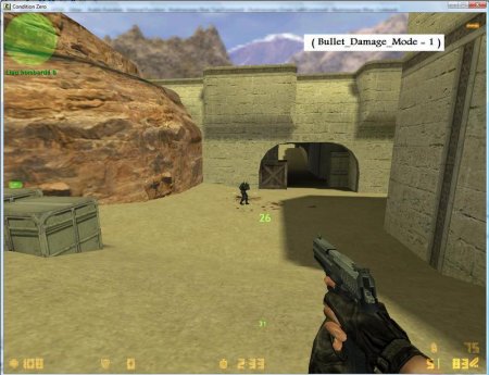 Bullet Damage with Director Hud Message 1.1