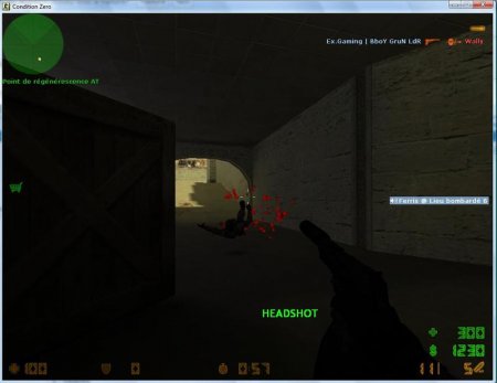 Bullet Damage with Director Hud Message 1.1