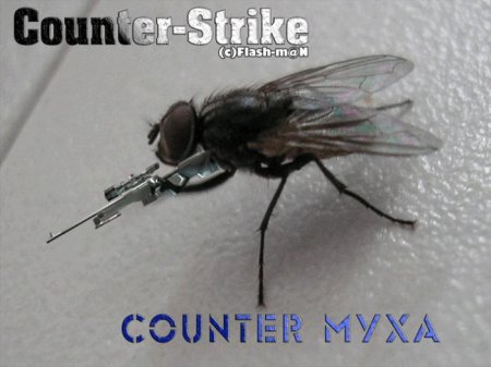 Server Classic by BoomBox v0.8