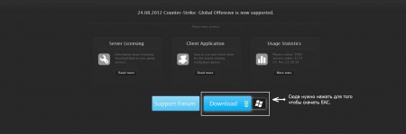 Установка EAC (EasyAntiCheat)